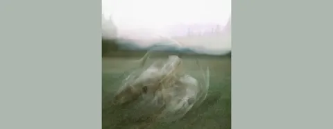 Nahanni McKay: Spirit